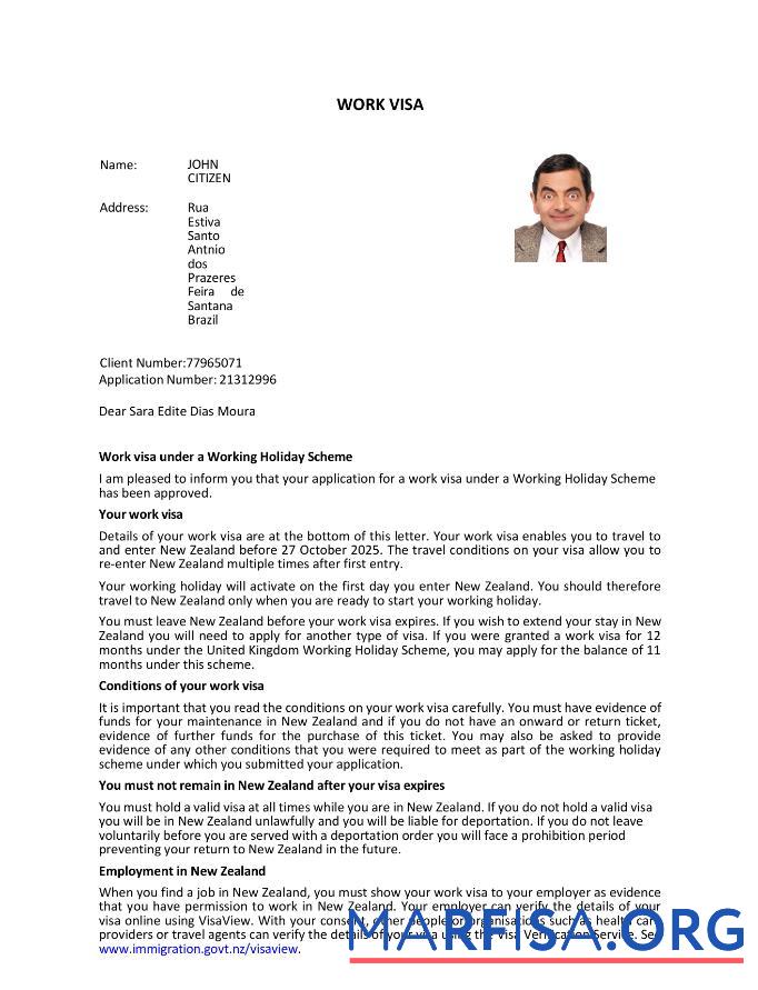 Professionell Neuseeland e Visum Vorlage in Word and PDF Formate