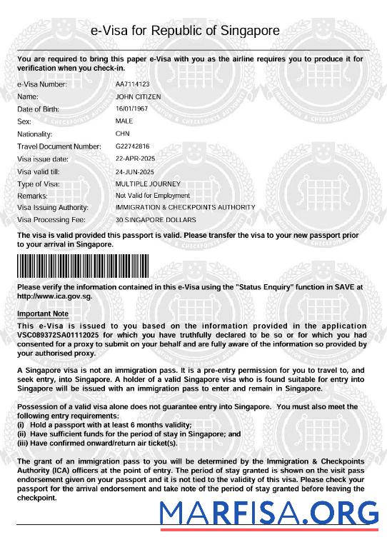 Professionell Singapur e Visum Vorlage in Word and PDF Formate