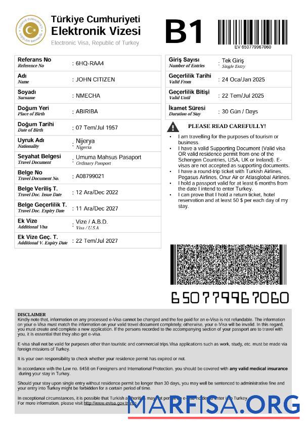Premium Türkei e Visum Vorlage in Word and PDF Formate