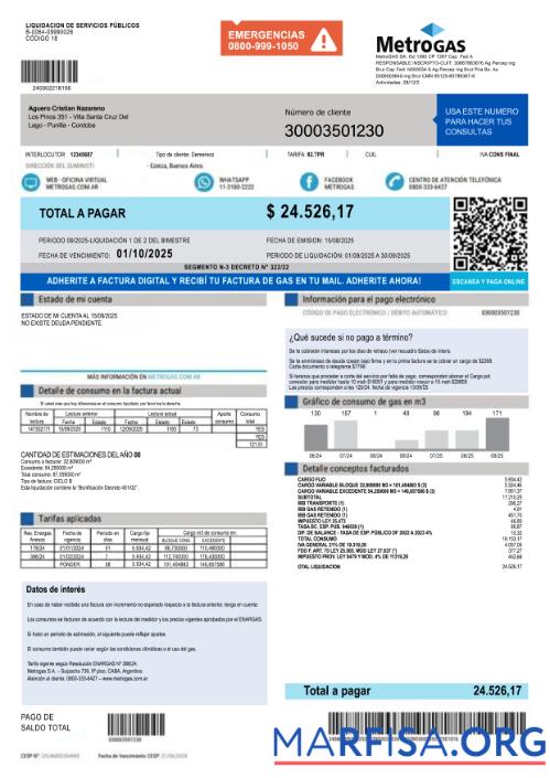 Редактируемый Аргентина MetroGAS S.A. factura de Газ PSD Шаблон