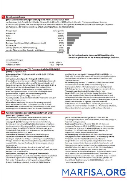 Австрия EVN Электричество Счёт за коммунальные услуги Счёт 5 предпросмотр