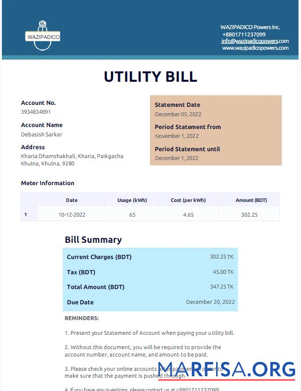 Редактируемый Бангладеш WAZIPADICO POWER Счёт за коммунальные услуги Счёт Word and PDF Шаблон