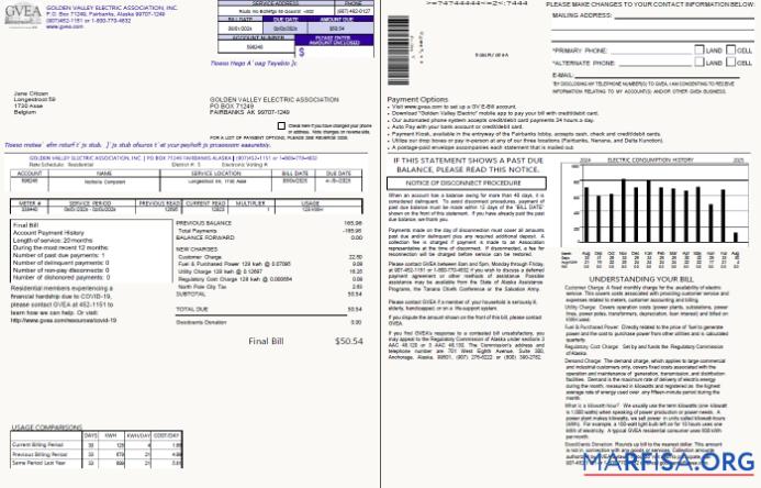 Профессиональный Бельгия Golden Valley Electric Association Счёт за коммунальные услуги Счёт Шаблон in Word and PDF Форматы, 2 pages