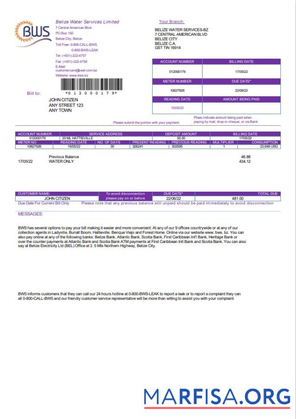 Редактируемый Белиз Вода Services Limited Счёт за коммунальные услуги Счёт Шаблон in Word and PDF Формат