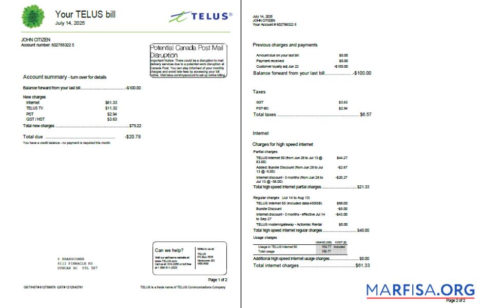 Профессиональный Канада Telus Счёт за коммунальные услуги Счёт Шаблон in Word and PDF Форматы, 2 pages