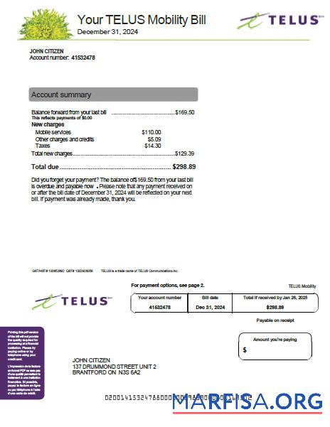 Реалистичный Канада Telus Счёт за коммунальные услуги Счёт Шаблон in Word and PDF Форматы, Версия 2