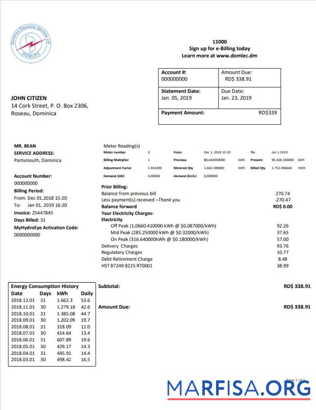 Реалистичный Доминика Электричество Services Limited Электричество Счёт за коммунальные услуги Счёт Шаблон in Word and PDF Формат