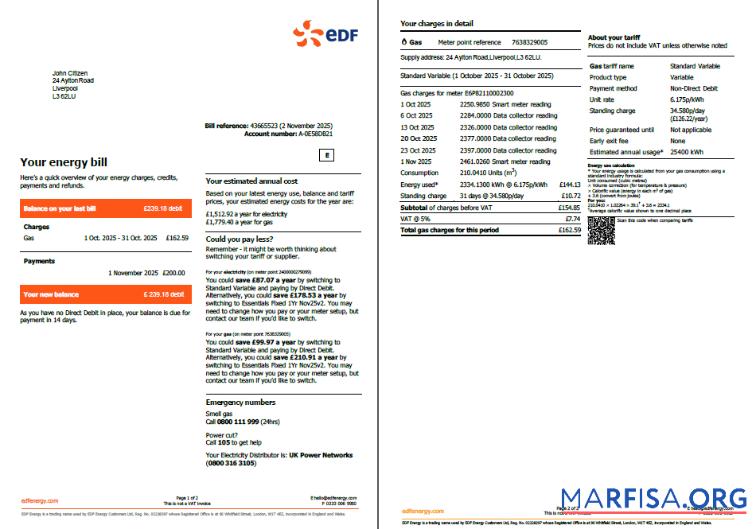 Профессиональный Франция EDF Счёт за коммунальные услуги Счёт Шаблон in Word and PDF Форматы, 2 pages