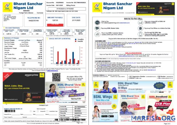 Реалистичный Индия Bharat Sanchar Nigam Limited Счёт за коммунальные услуги Счёт Шаблон in Word and PDF Форматы, 2 pages