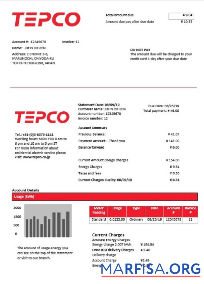 Реалистичный Япония Tokyo Electric Power Компания Электричество Счёт за коммунальные услуги Счёт Шаблон in Word and PDF Формат