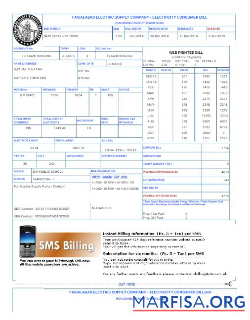 Профессиональный Пакистан FAISALABAD Счёт за коммунальные услуги Счёт Word and PDF Шаблон