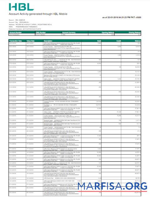 Высокое Качество Пакистан HBL Счёт за коммунальные услуги Счёт Word and PDF Шаблон