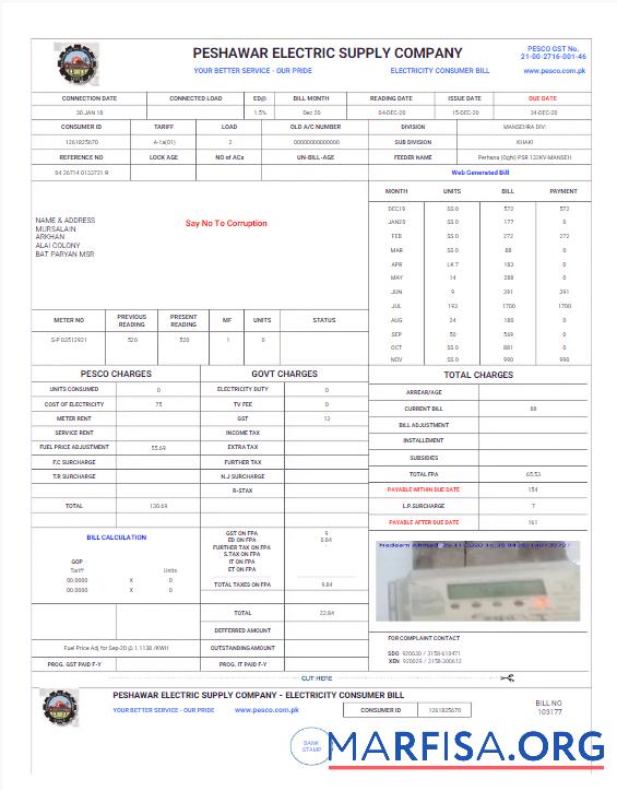Высокое Качество Пакистан PESHAWAR ELECTRIC SUPPLY Компания Счёт за коммунальные услуги Счёт Word and PDF Шаблон