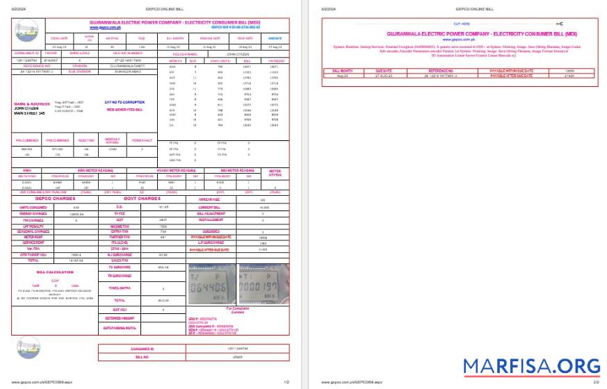 Пакистан Gujanwala electric power Компания Электричество Счёт за коммунальные услуги bil Word and PDF Форматы, 2 pages макет