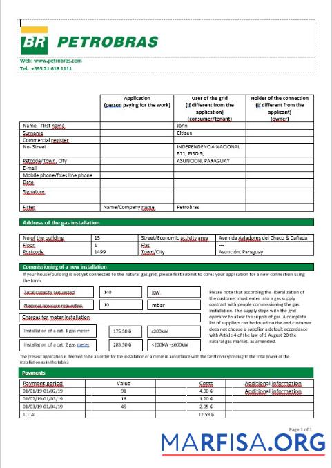 Парагвай Petrobras Парагвай Operations and Logistics Газ Компания in Word Формат макет
