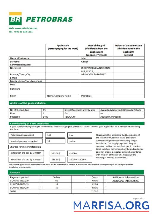 Профессиональный Парагвай Petrobras Парагвай Operations and Logistics Газ Компания Счёт за коммунальные услуги Счёт Шаблон in Word and PDF Формат
