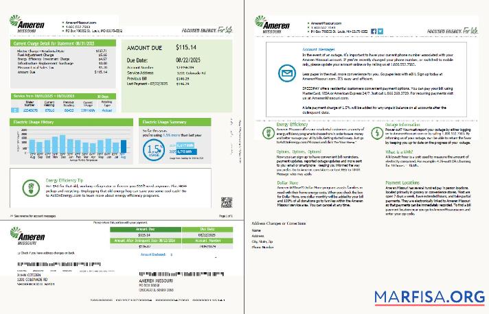 Высокое Качество США Ameren Missouri Счёт за коммунальные услуги Счёт Шаблон in Word and PDF Форматы, 2 pages