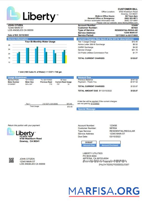 Реалистичный США California Liberty Utilities Счёт за коммунальные услуги Счёт Шаблон in Word and PDF Формат