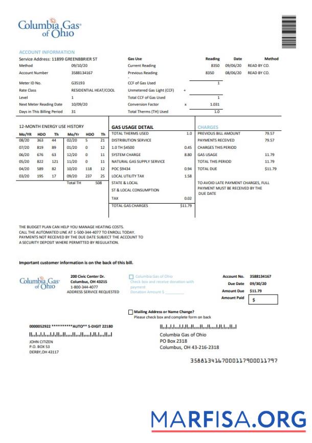 Реалистичный США Columbia Газ of Ohio Счёт за коммунальные услуги Счёт Шаблон in Word and PDF Формат