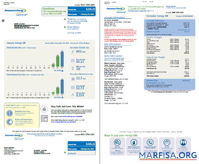 Высокое Качество США Consumers Energy Счёт за коммунальные услуги Счёт Шаблон in Word and PDF Форматы, 2 pages