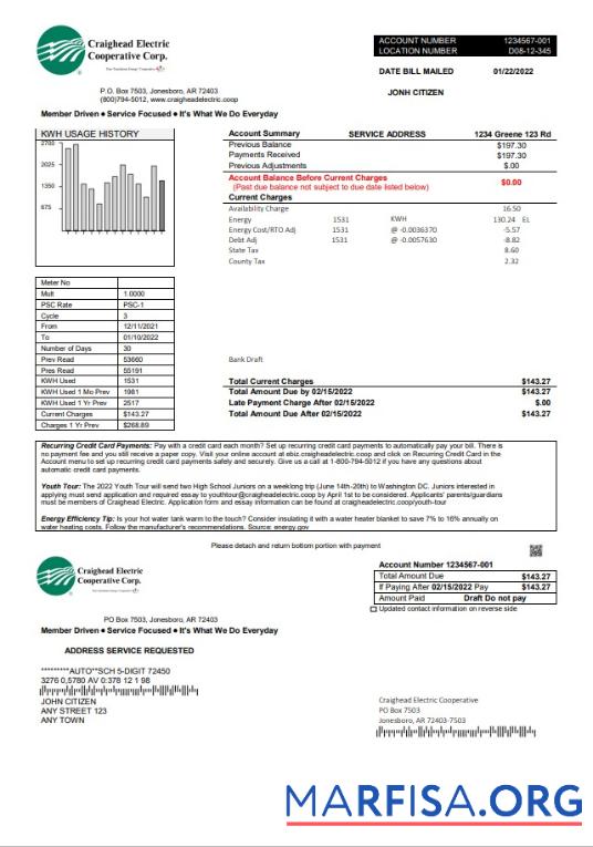 Премиум США Craighead Electric Счёт за коммунальные услуги Счёт Шаблон in Word and PDF Формат