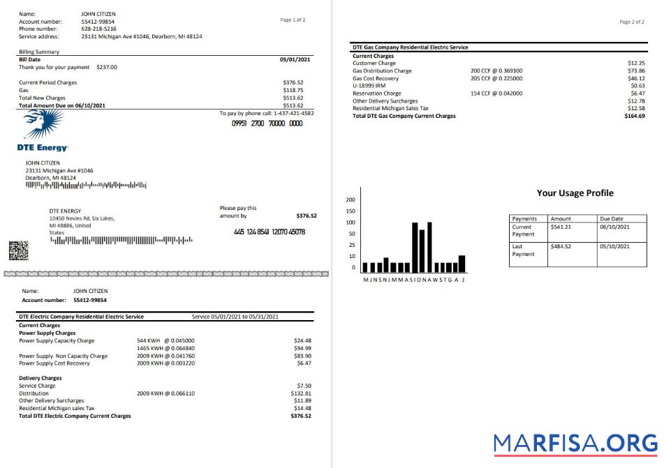 Редактируемый США DTE Energy Счёт за коммунальные услуги Счёт Шаблон in Word and PDF Формат (2 pages)