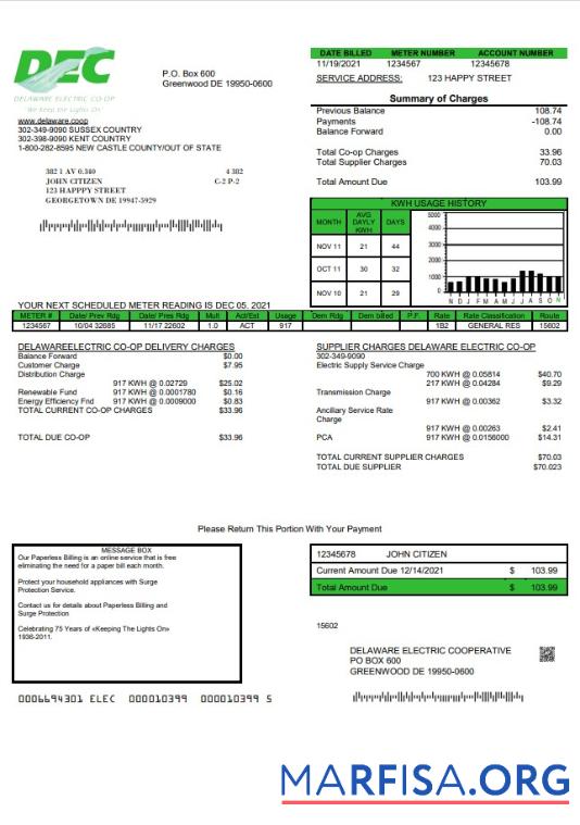 Редактируемый США Delaware Electric Co op Счёт за коммунальные услуги Счёт Шаблон in Word and PDF Формат