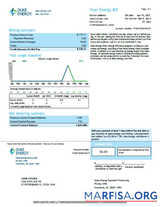 Премиум США Duke Energy Счёт за коммунальные услуги Счёт Шаблон in Word and PDF Форматы, Версия 4
