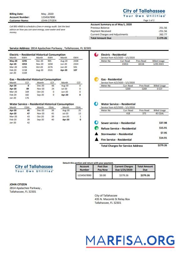 Высокое Качество США Florida City of Tallahassee Florida Your Own Utilities Счёт Шаблон in Word and PDF Формат