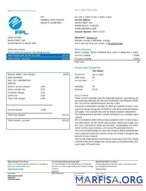 США Florida FPL Электричество Счёт за коммунальные услуги Счёт Word and PDF Форматы, Версия 2 шаблон