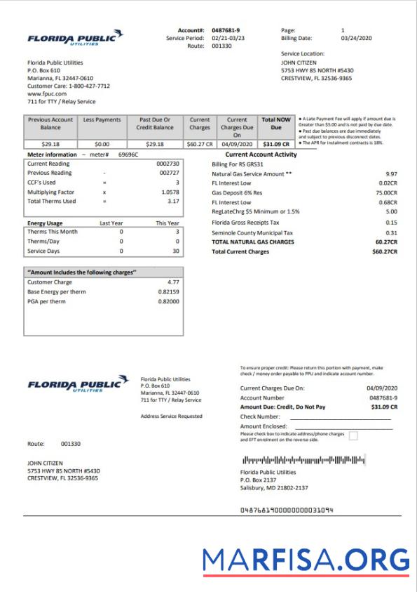 Реалистичный США Florida Public Utilities Счёт за коммунальные услуги Счёт Шаблон in Word and PDF Формат
