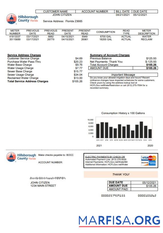 Профессиональный США Hillsborough County Счёт за коммунальные услуги Счёт Шаблон in Word and PDF Формат
