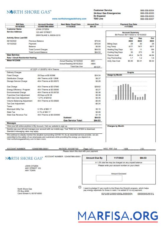 Реалистичный США Illinois North Shore Газ Счёт за коммунальные услуги Счёт Шаблон in Word and PDF Формат