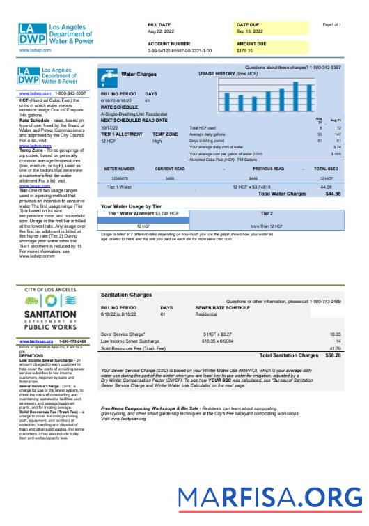 Премиум США LA DWP Счёт за коммунальные услуги Счёт Шаблон in Word and PDF Формат