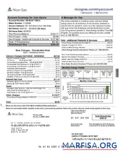 Реалистичный США NICOR Газ Счёт за коммунальные услуги Счёт Word and PDF Шаблон