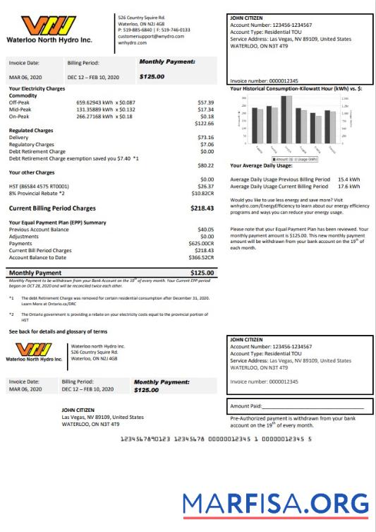 Редактируемый США Nevada Waterloo North Hydro Счёт за коммунальные услуги Счёт Шаблон in Word and PDF Формат