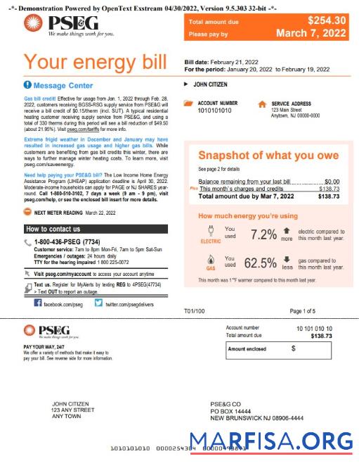 Реалистичный США Новый York PSEG Счёт за коммунальные услуги Счёт, Word and PDF Шаблон, 5 pages 1