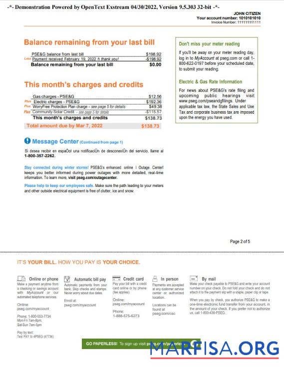 Премиум США Новый York PSEG Счёт за коммунальные услуги Счёт, Word and PDF Шаблон, 5 pages 2
