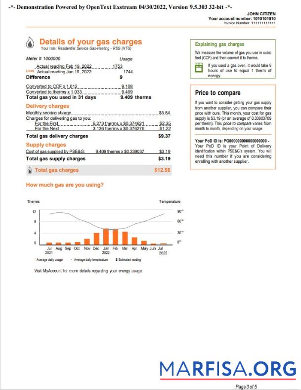 Профессиональный США Новый York PSEG Счёт за коммунальные услуги Счёт, Word and PDF Шаблон, 5 pages 3