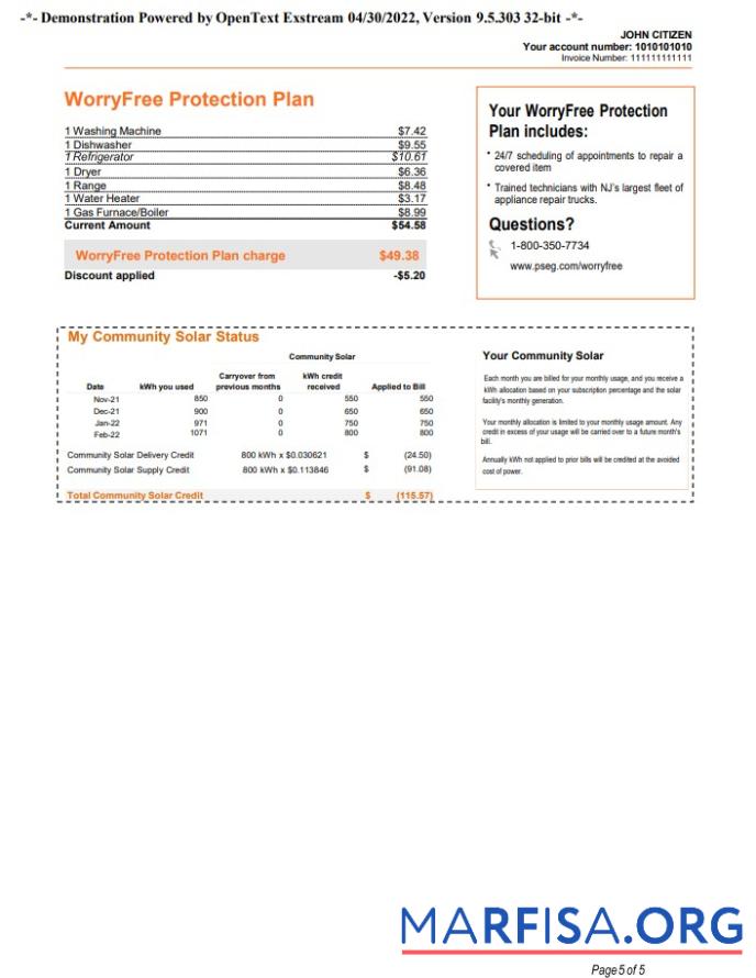 Высокое Качество США Новый York PSEG Счёт за коммунальные услуги Счёт, Word and PDF Шаблон, 5 pages 5