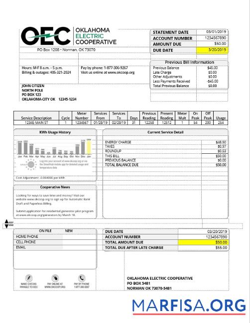 Профессиональный США OEC Электричество Счёт за коммунальные услуги Счёт Шаблон in Word and PDF Формат