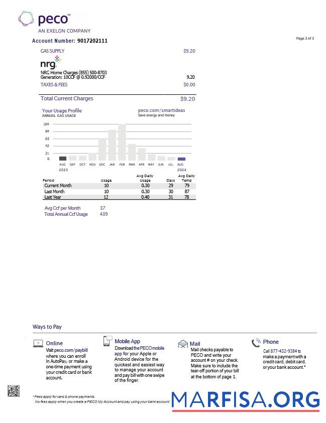 США Pennsylvania PECO electric and Газ Счёт за коммунальные услуги Счёт, 3 pages 2 макет