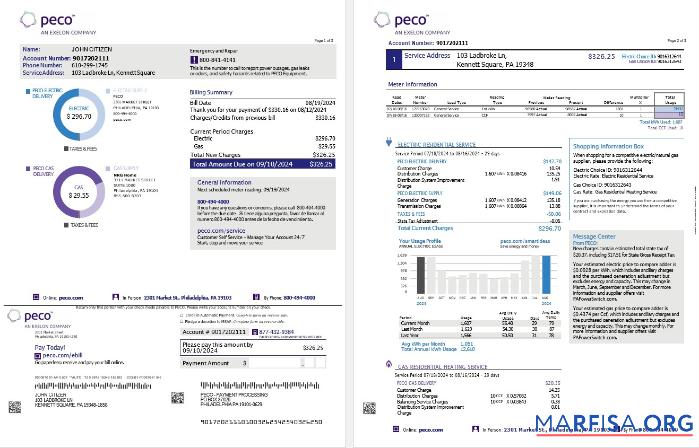 США Pennsylvania PECO electric and Газ Счёт за коммунальные услуги Счёт, 3 pages предпросмотр