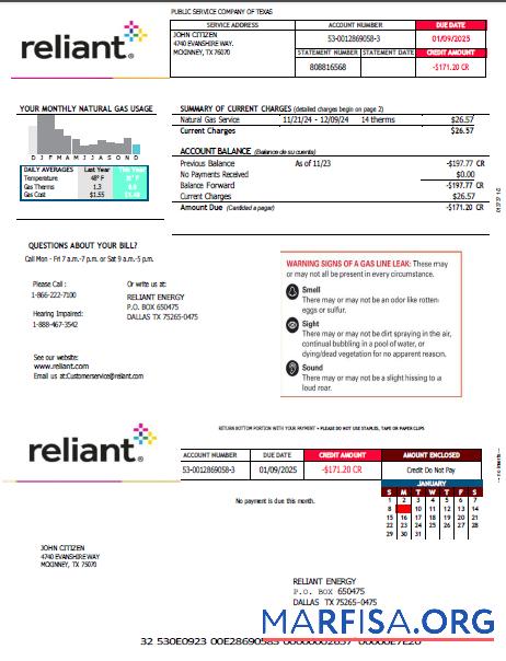 Редактируемый США Reliant Energy Счёт за коммунальные услуги Счёт Шаблон in Word and PDF Форматы