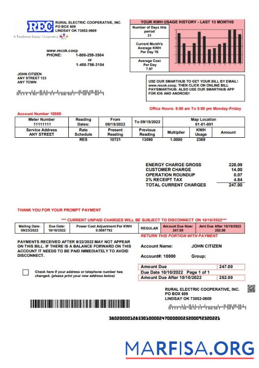 Высокое Качество США Rural Electric Cooperative Счёт за коммунальные услуги Счёт Шаблон in Word and PDF Формат