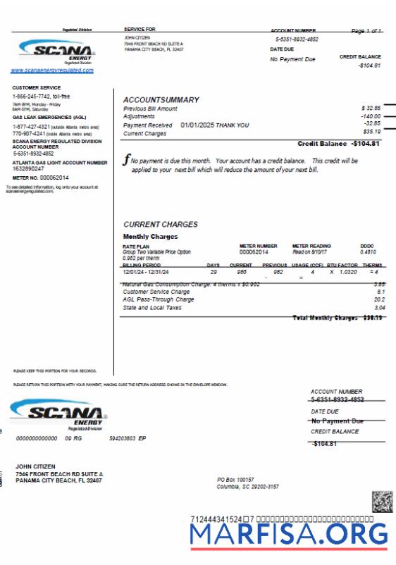 Премиум США SCANA Energy Счёт за коммунальные услуги Счёт Шаблон in Word and PDF Форматы