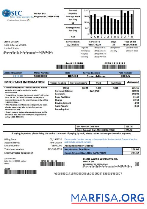 Высокое Качество США South Carolina Santee Electric Cooperative (SEC) proof of address Счёт за коммунальные услуги Счёт Шаблон in Word and PDF Формат