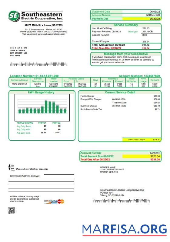Высокое Качество США South Dakota Southeastern Electric Счёт за коммунальные услуги Счёт Шаблон in Word and PDF Формат