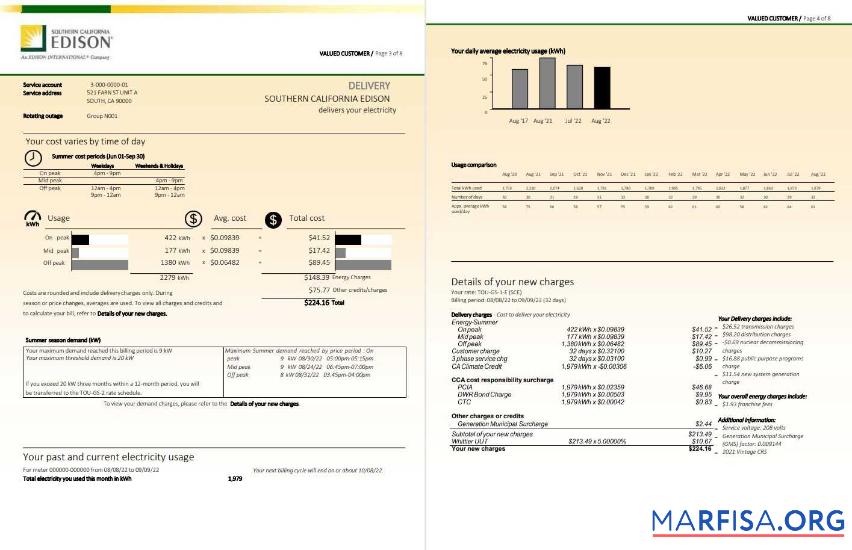 Премиум США Southern California EDISON Счёт за коммунальные услуги Счёт, Word and PDF Шаблон, 8 pages 3 4