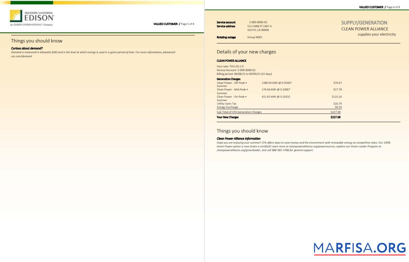 Профессиональный США Southern California EDISON Счёт за коммунальные услуги Счёт, Word and PDF Шаблон, 8 pages 5 6